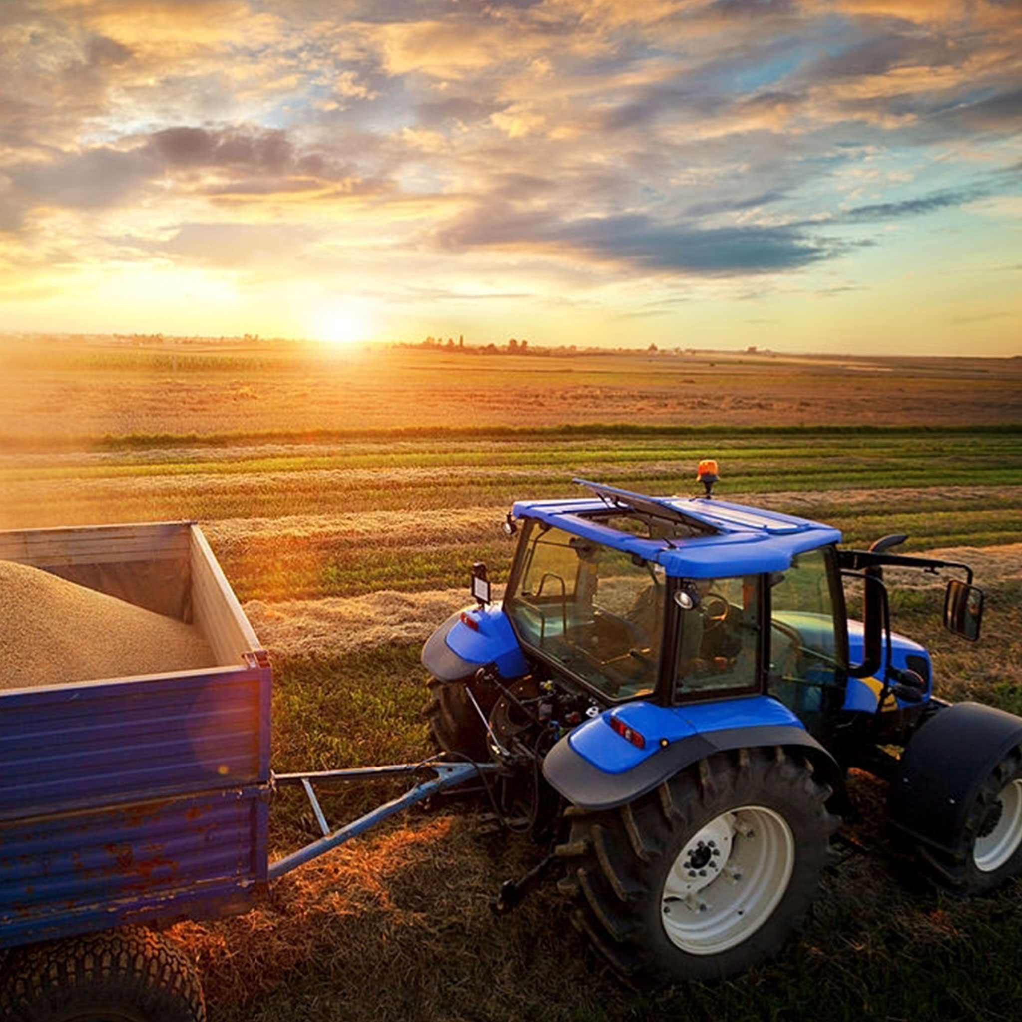 Banner-agricultura blank