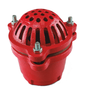 Válvula de pie rosca NPT